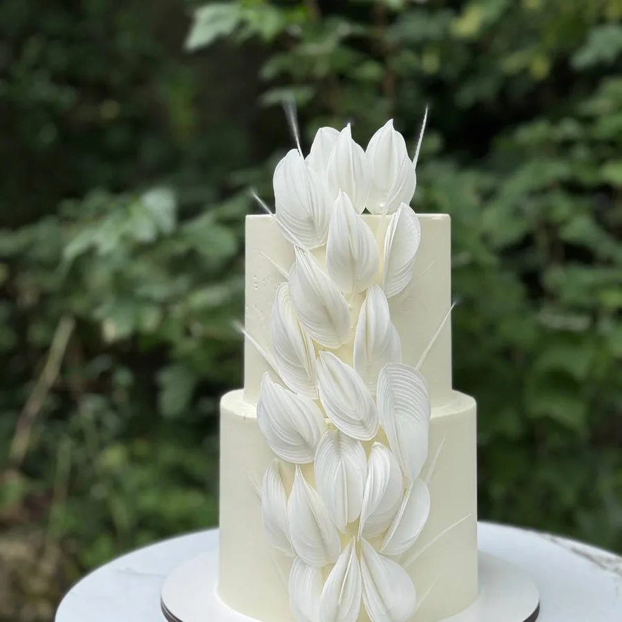Torte 5,5 kg · 360 €